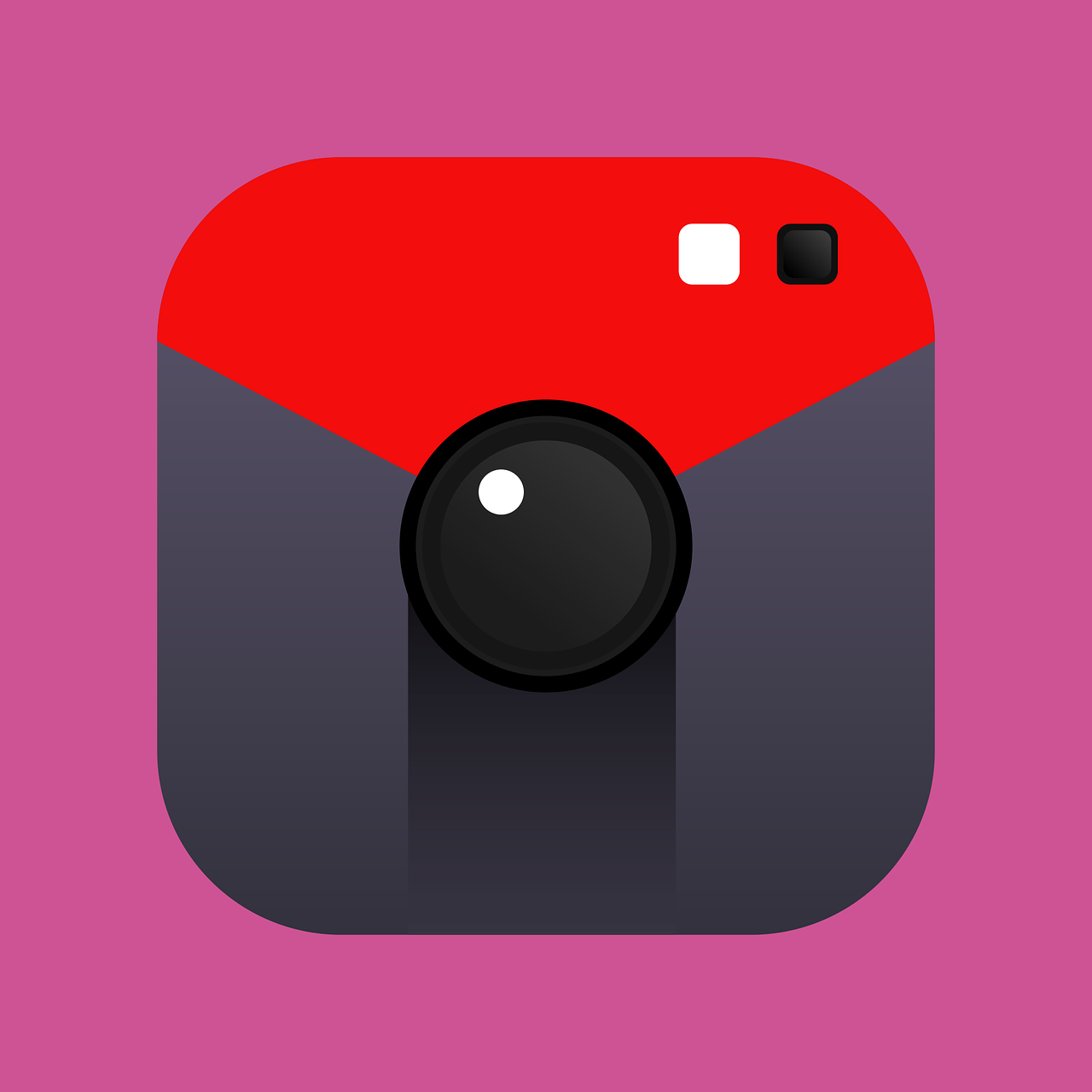 Download Snapshot, Camera, Photography. Royalty-Free Vector
