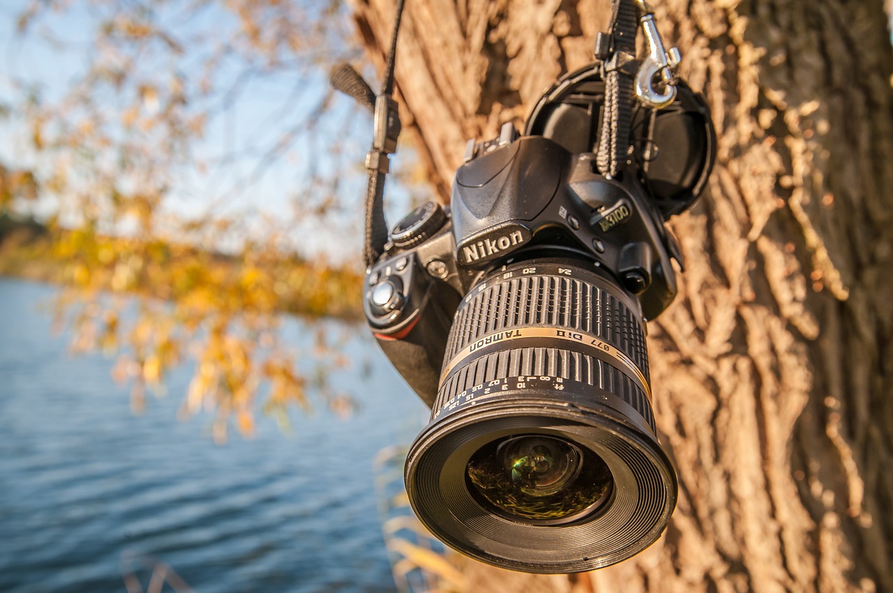 camera  tree  close up free photo