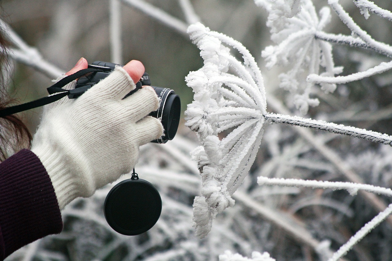 camera winter frozen free photo