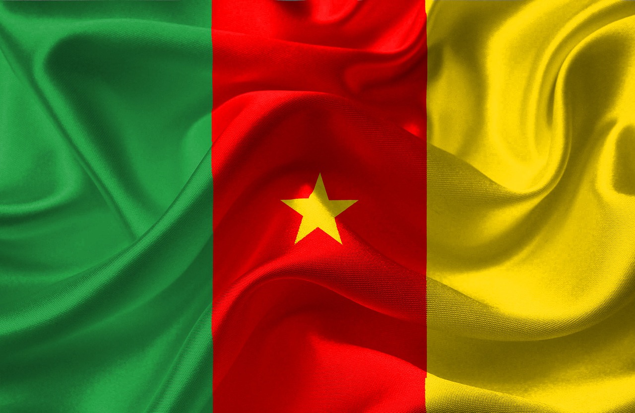 cameroon flag national free photo