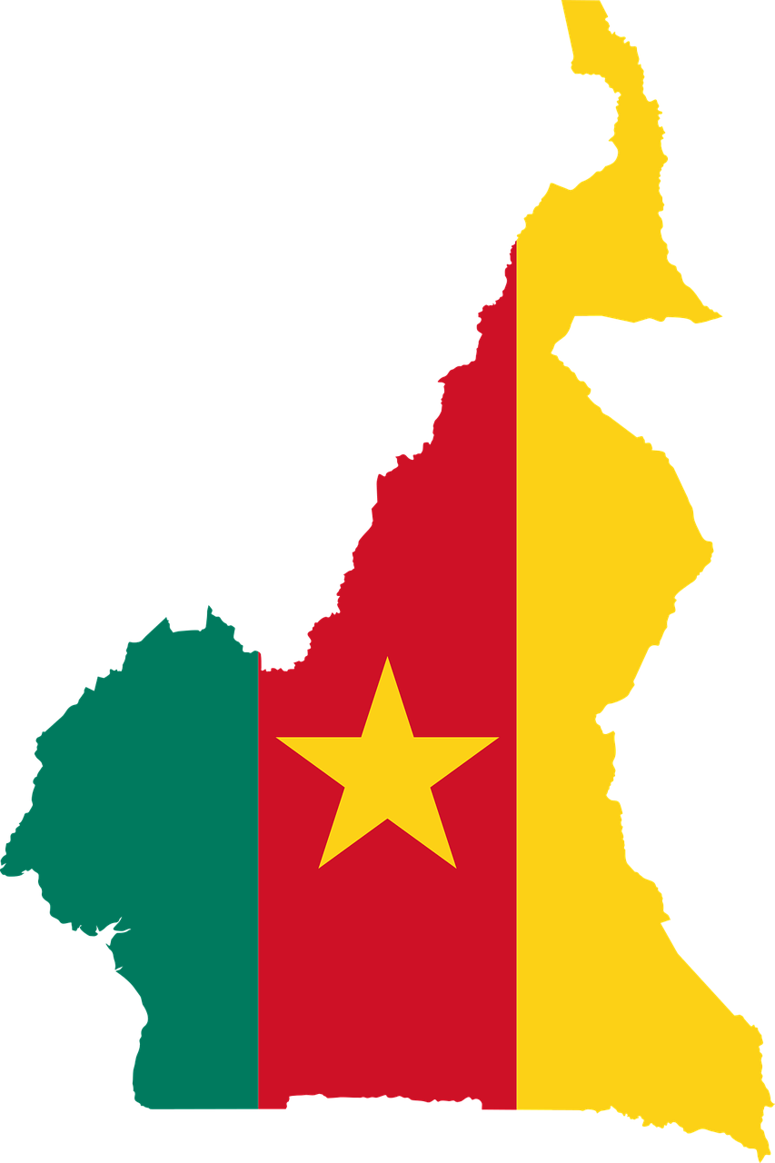 cameroon flag map free photo