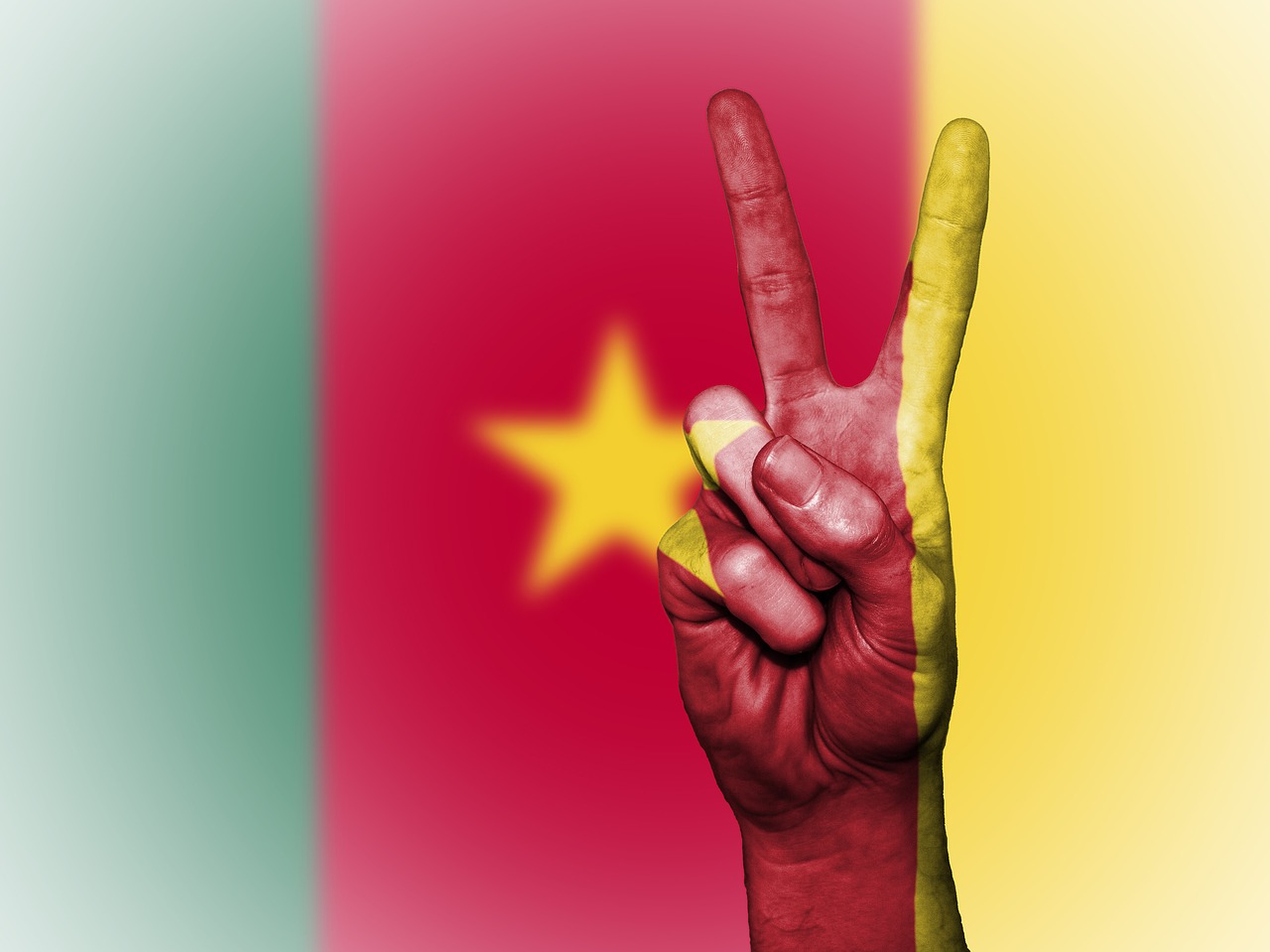 cameroon flag peace free photo