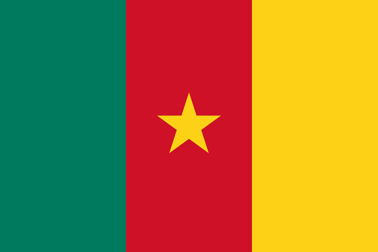 cameroon flag country free photo