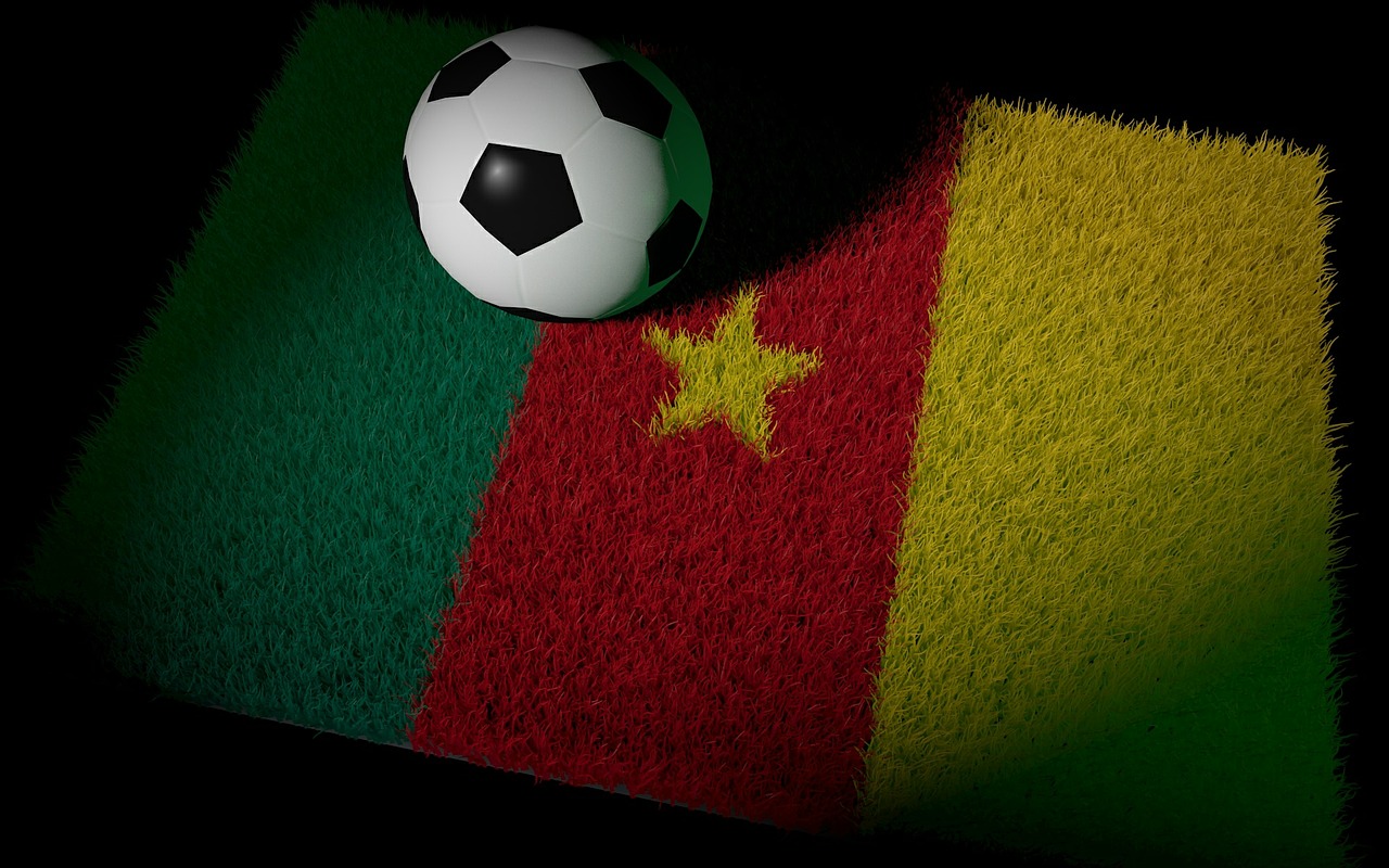 cameroon football world cup free photo