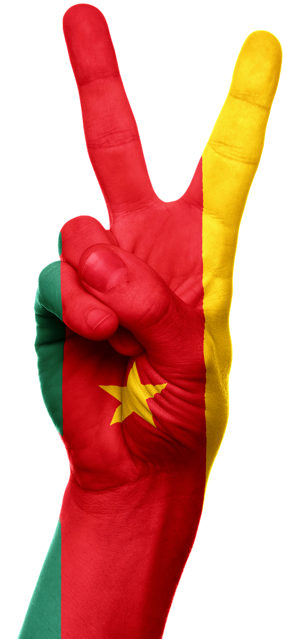 cameroon flag hand free photo