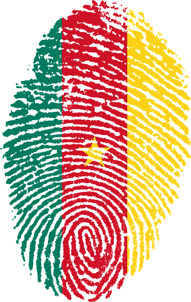 cameroon flag fingerprint free photo