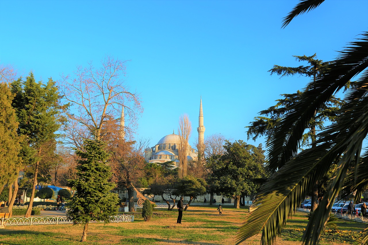 cami  dome  minaret free photo