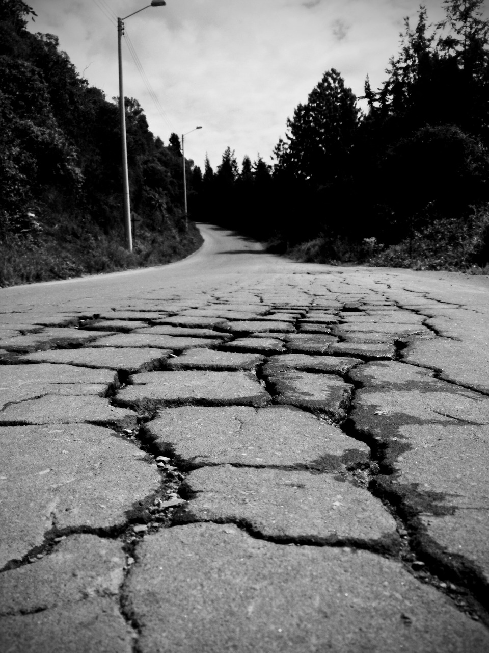 road asphalt way free photo