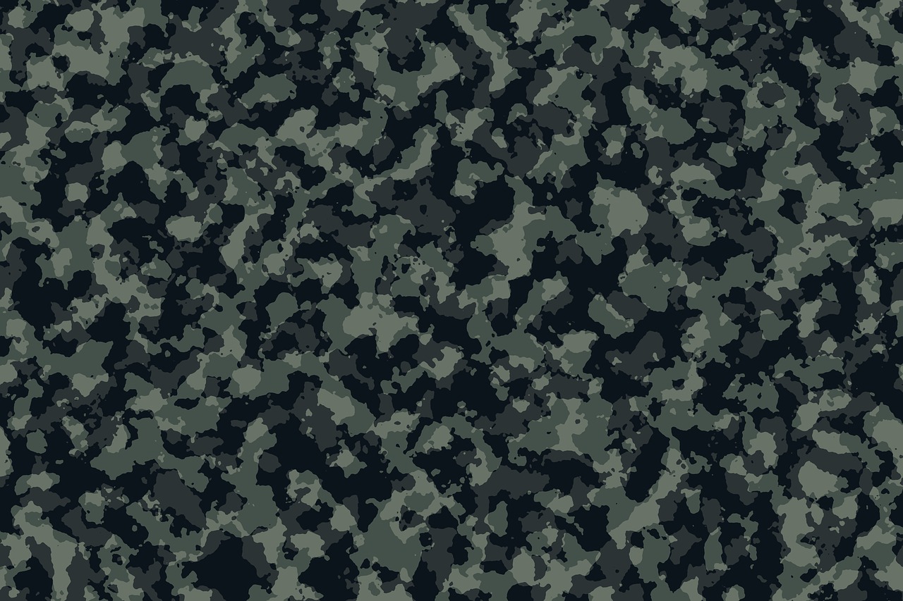 camouflage tarn military free photo