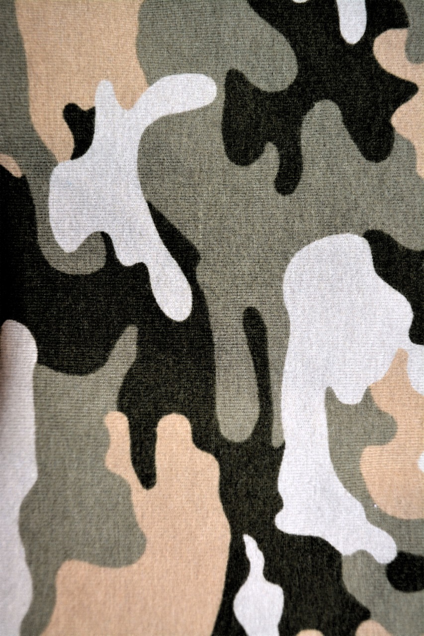 camouflage pattern military free photo