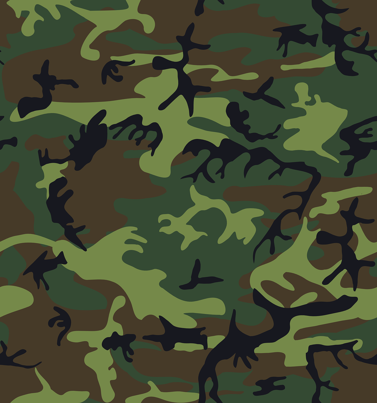 camouflage green brown free photo