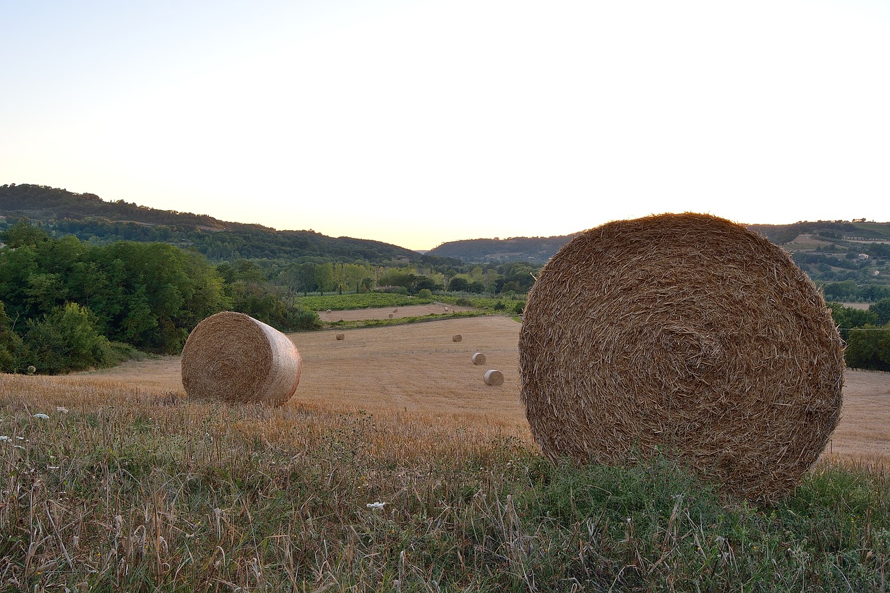 campaign bales landscape free photo