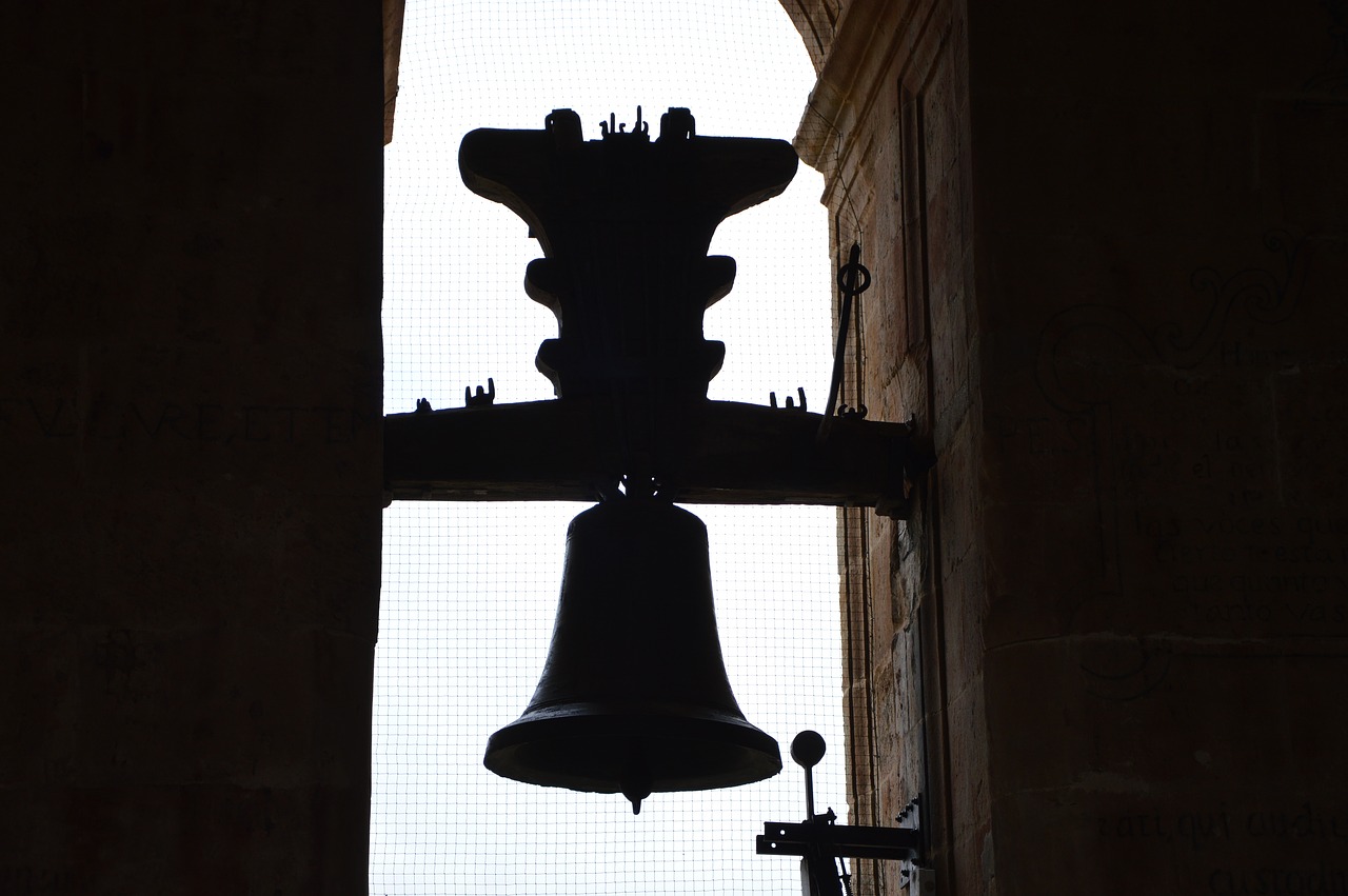 campaign salamanca cathedral free photo