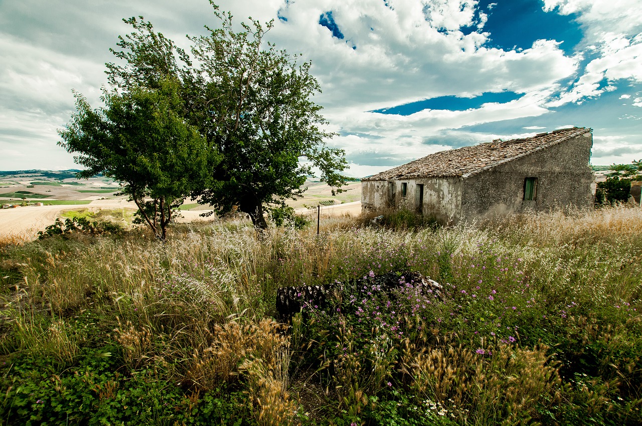 campaign sky landscape free photo