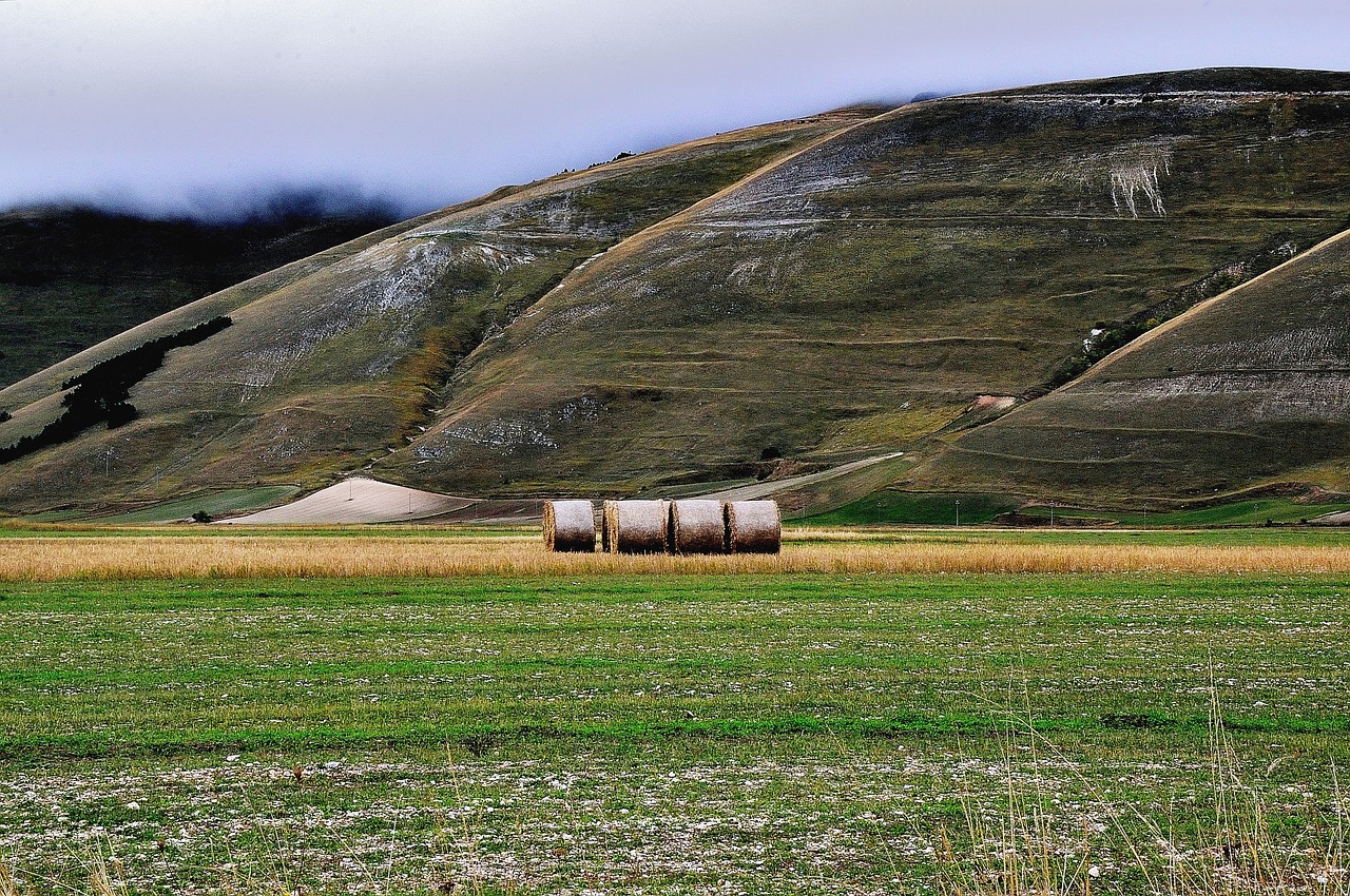 campaign hills hay bales free photo