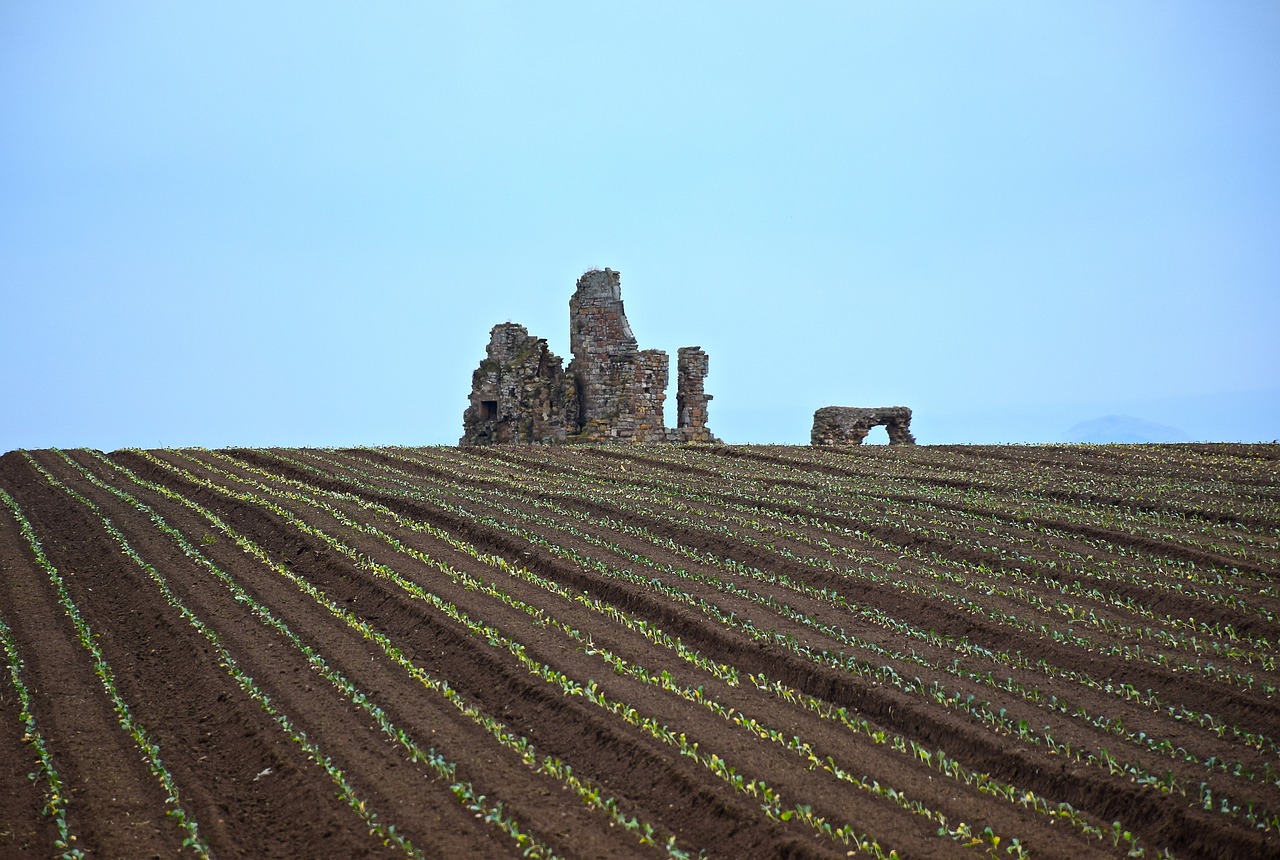 campaign  castle  ruins free photo