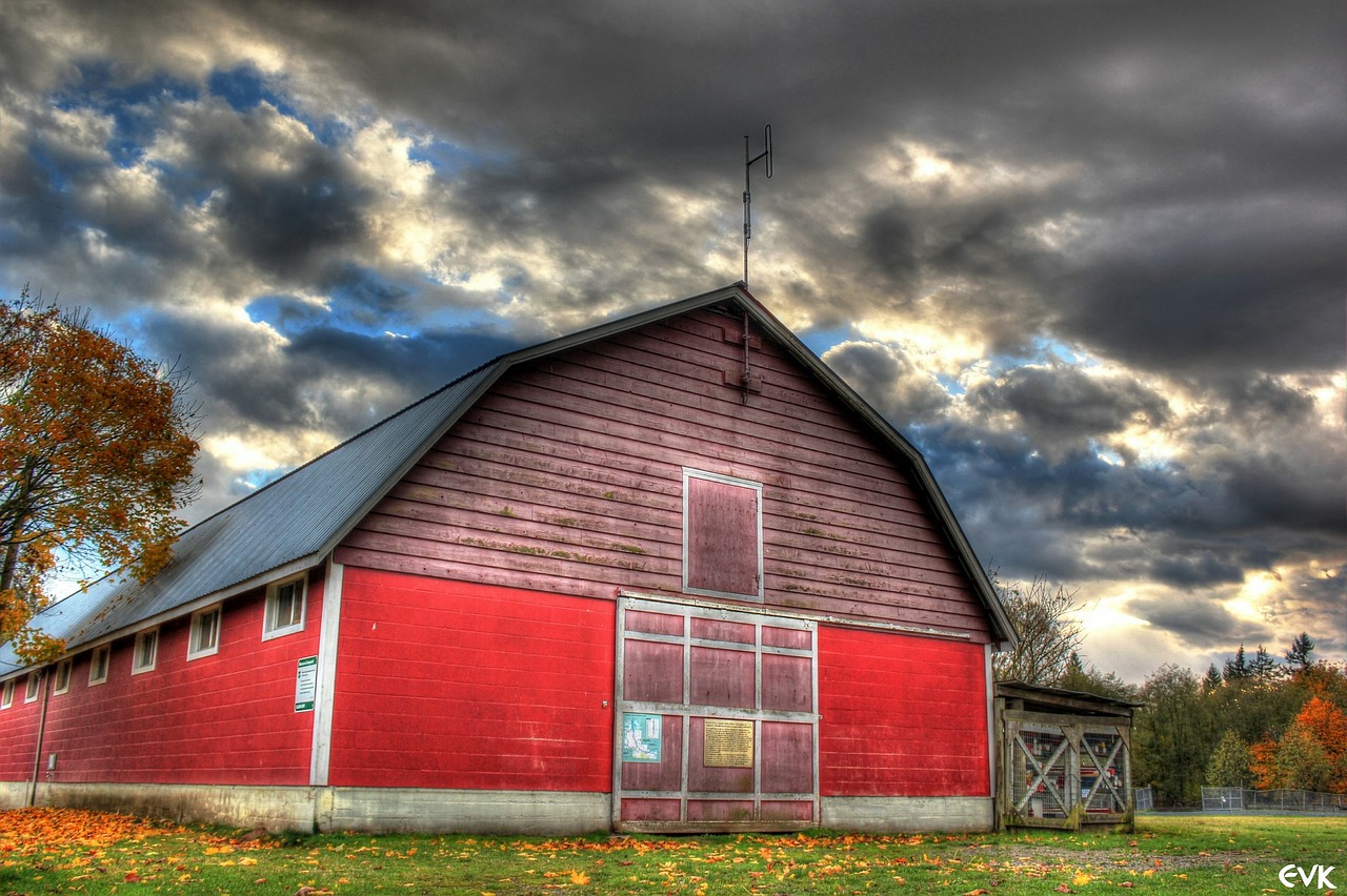 campbellvalley park red free photo