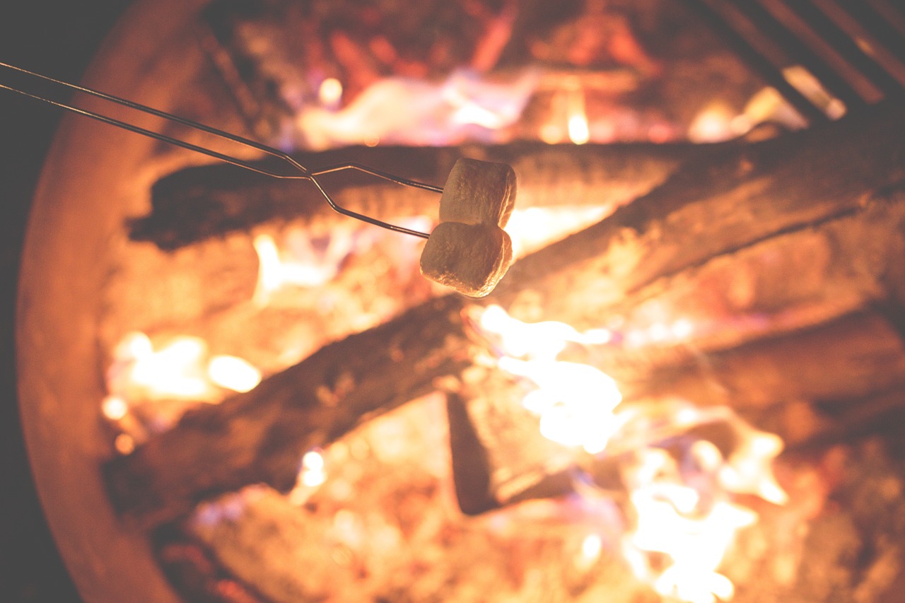 campfire marshmallows fire free photo