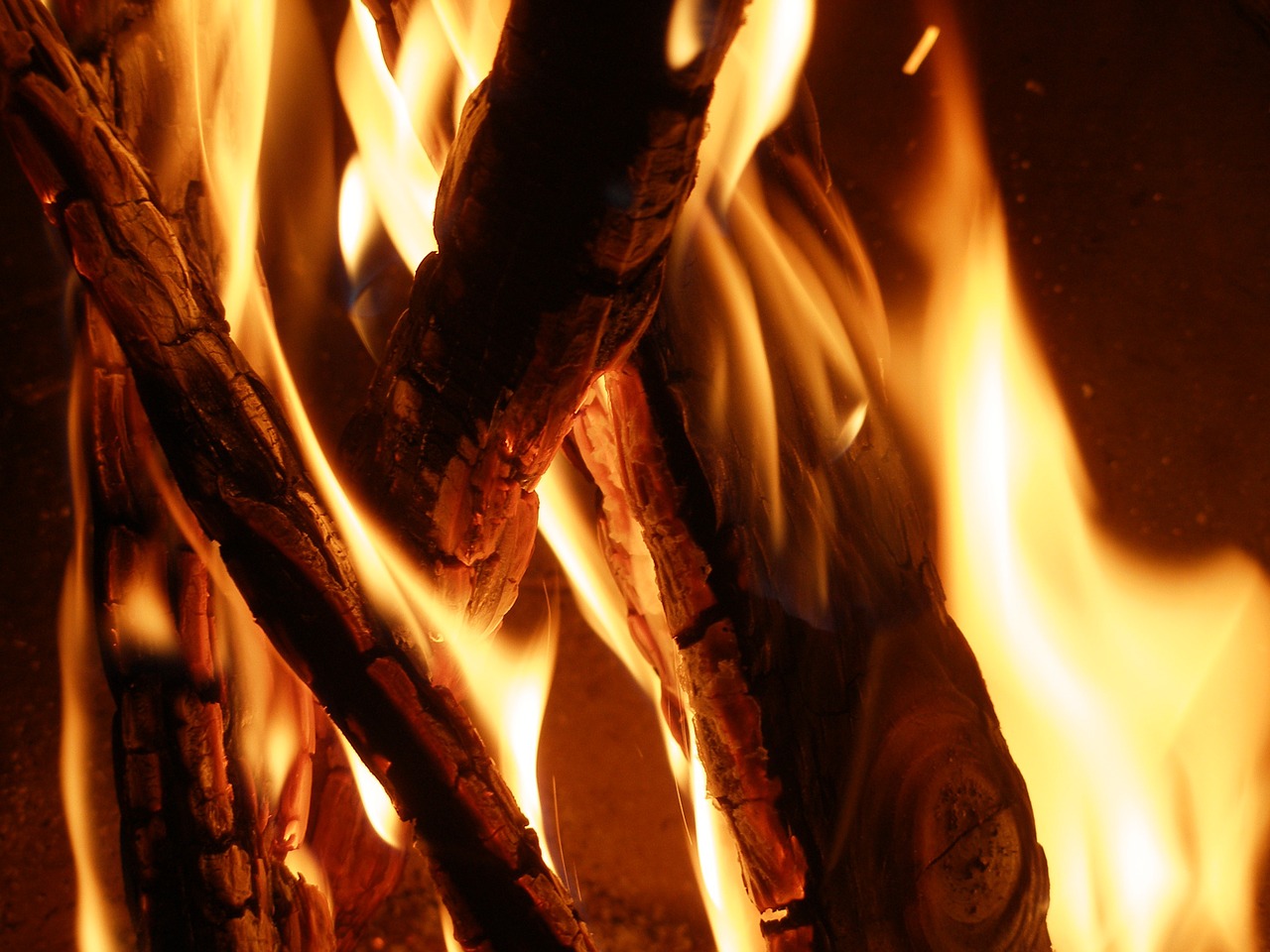 campfire fire burn free photo
