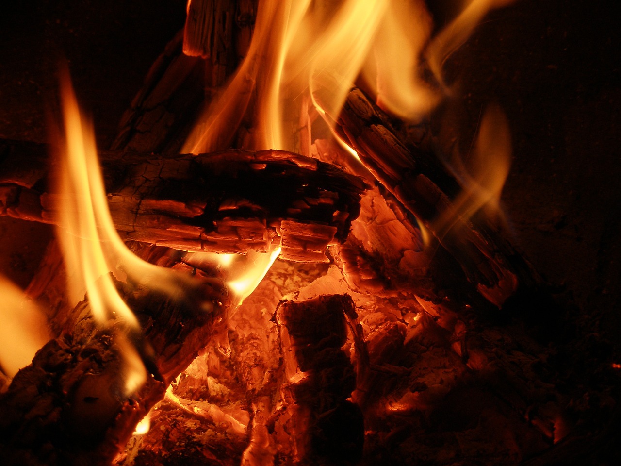 campfire fire burn free photo