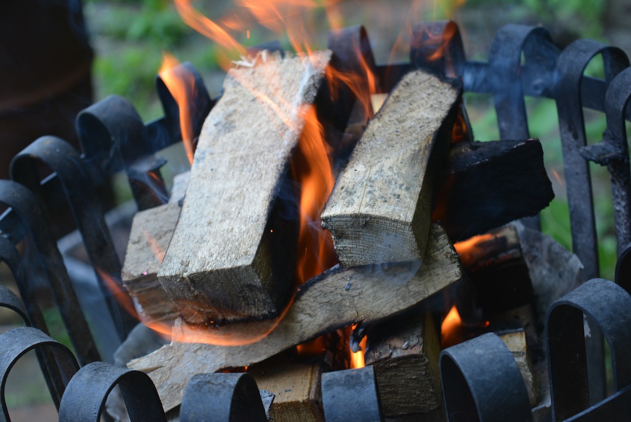 campfire fire barbecue free photo