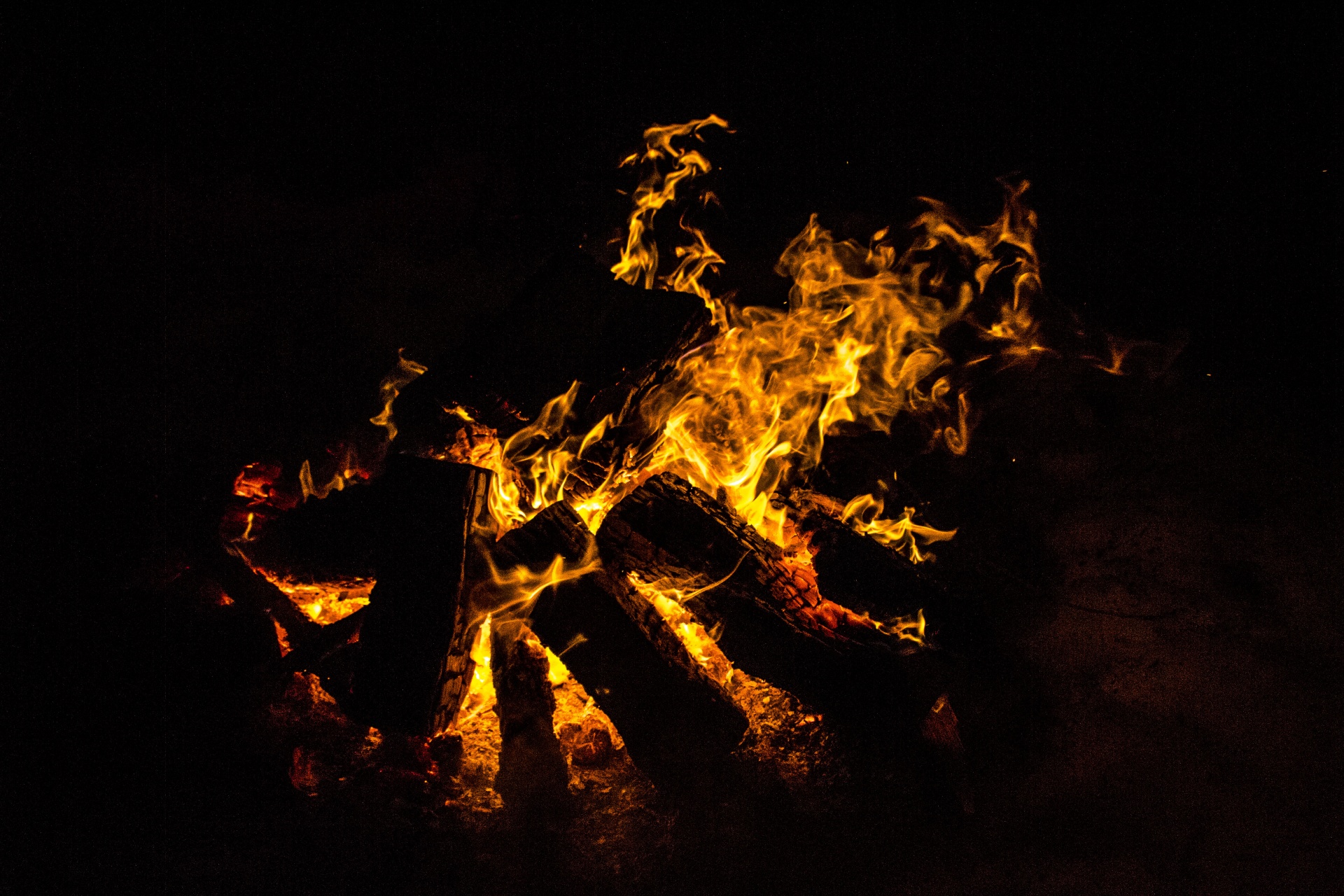 campfire bonfire fire free photo