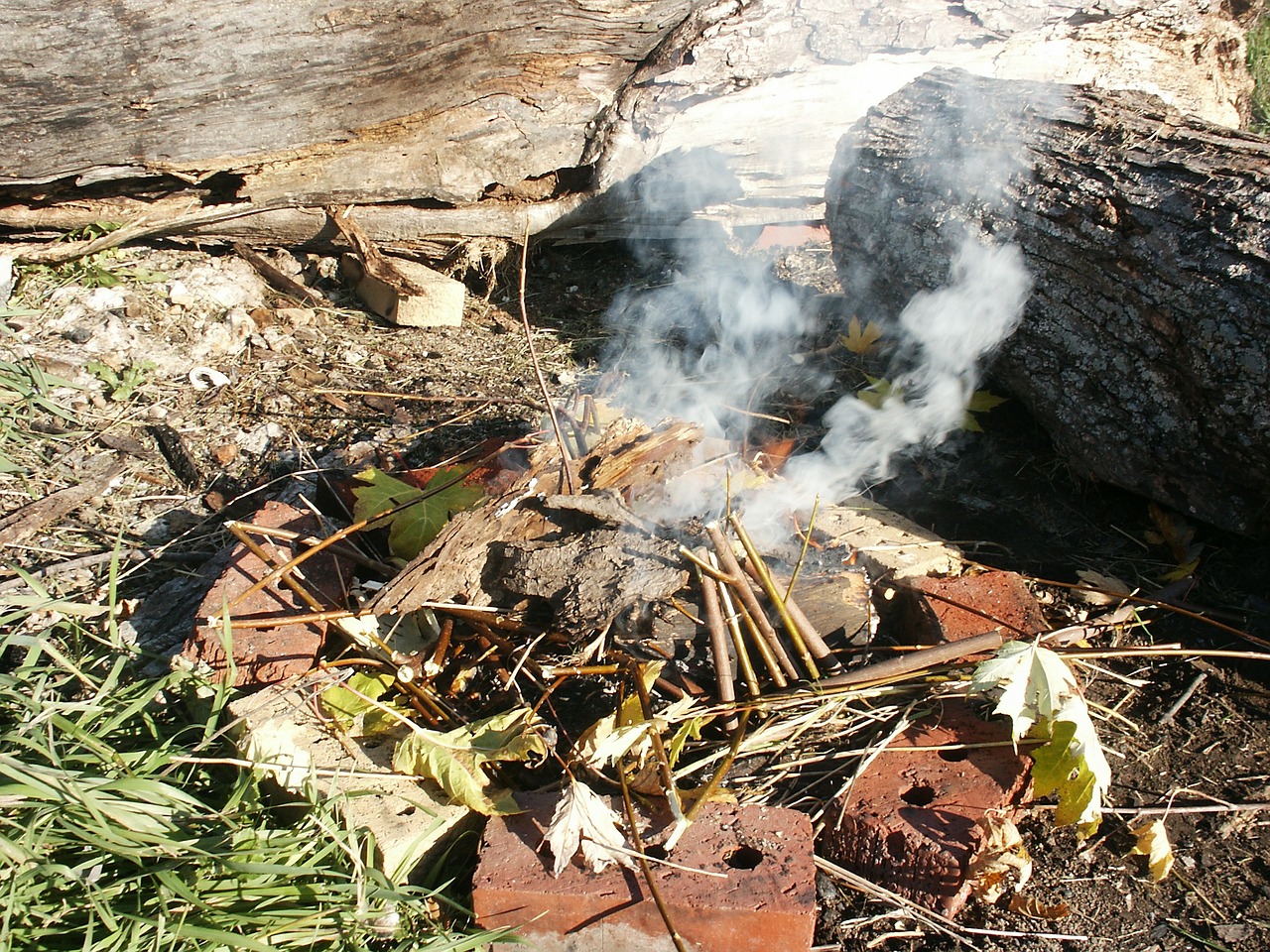 campfire smoke burning free photo