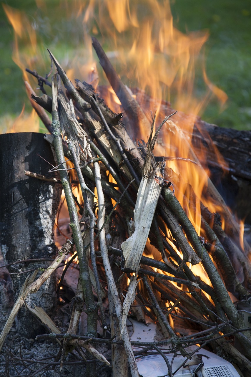 campfire flame wood free photo