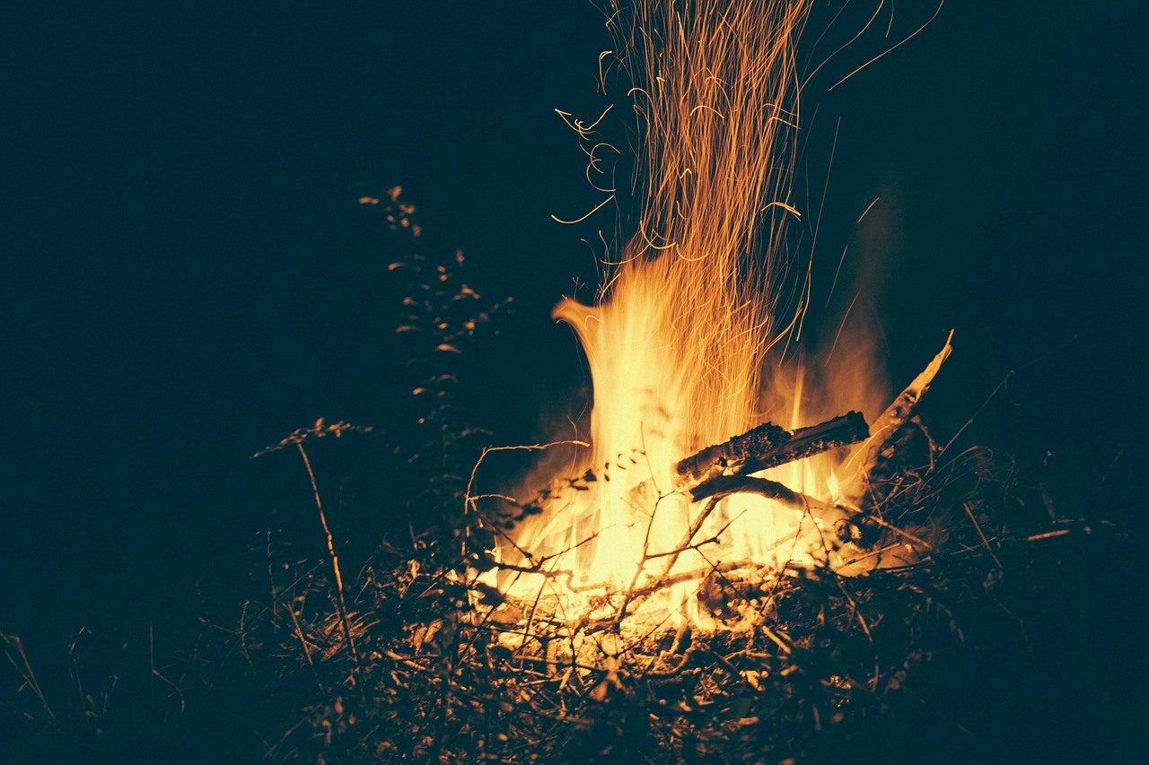 campfire flames fire warm free photo