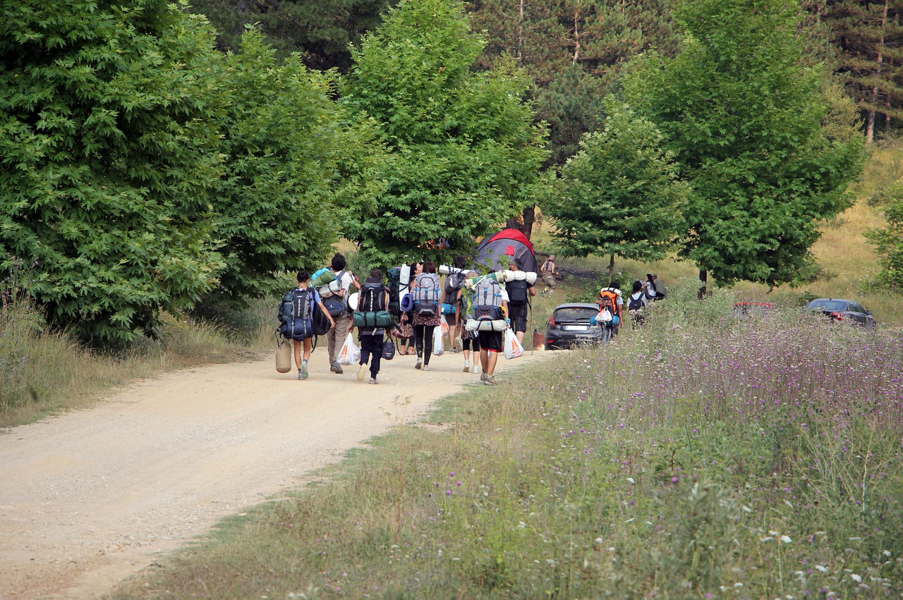 camping forest people free photo