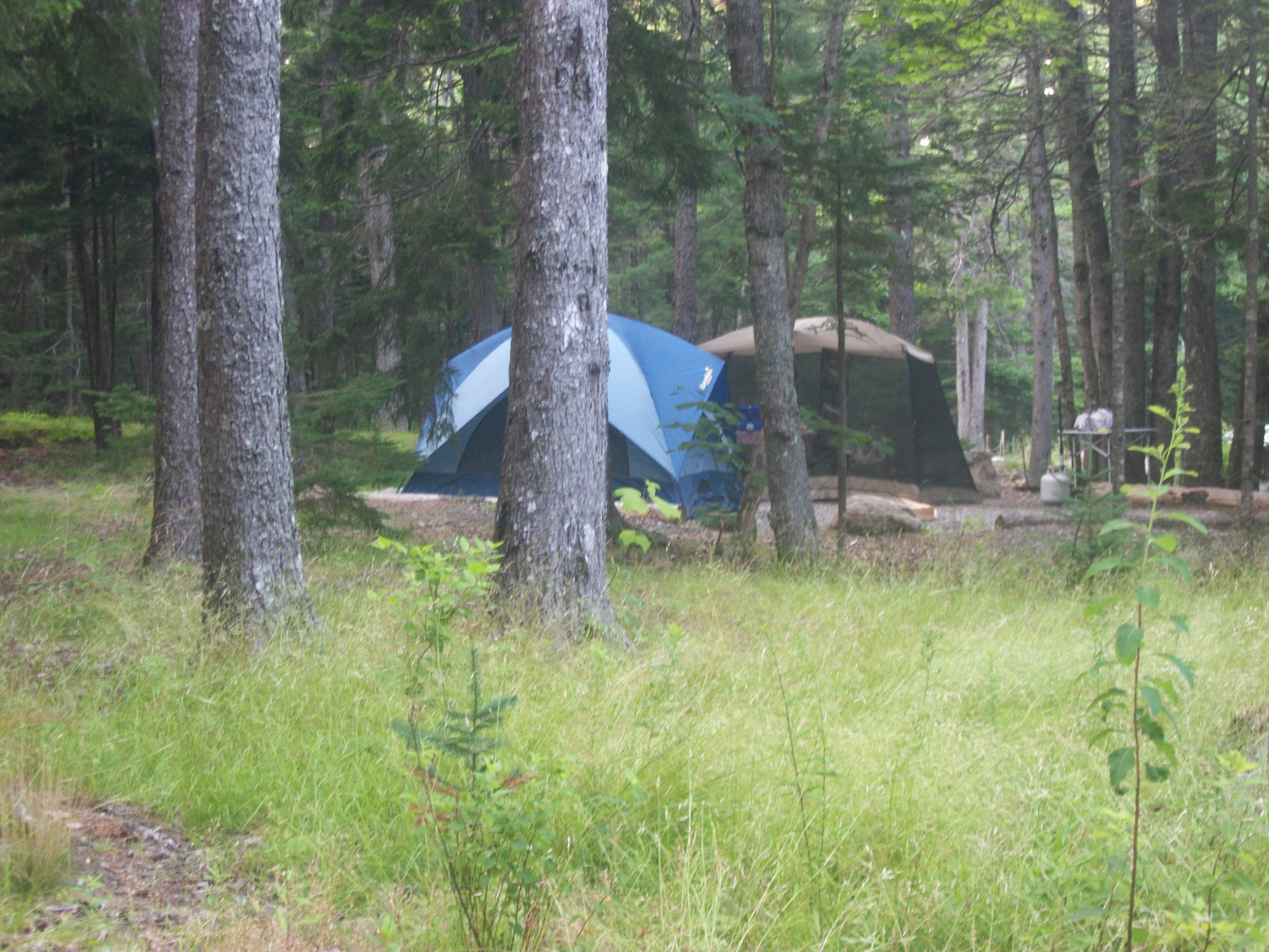 tent tents camping free photo