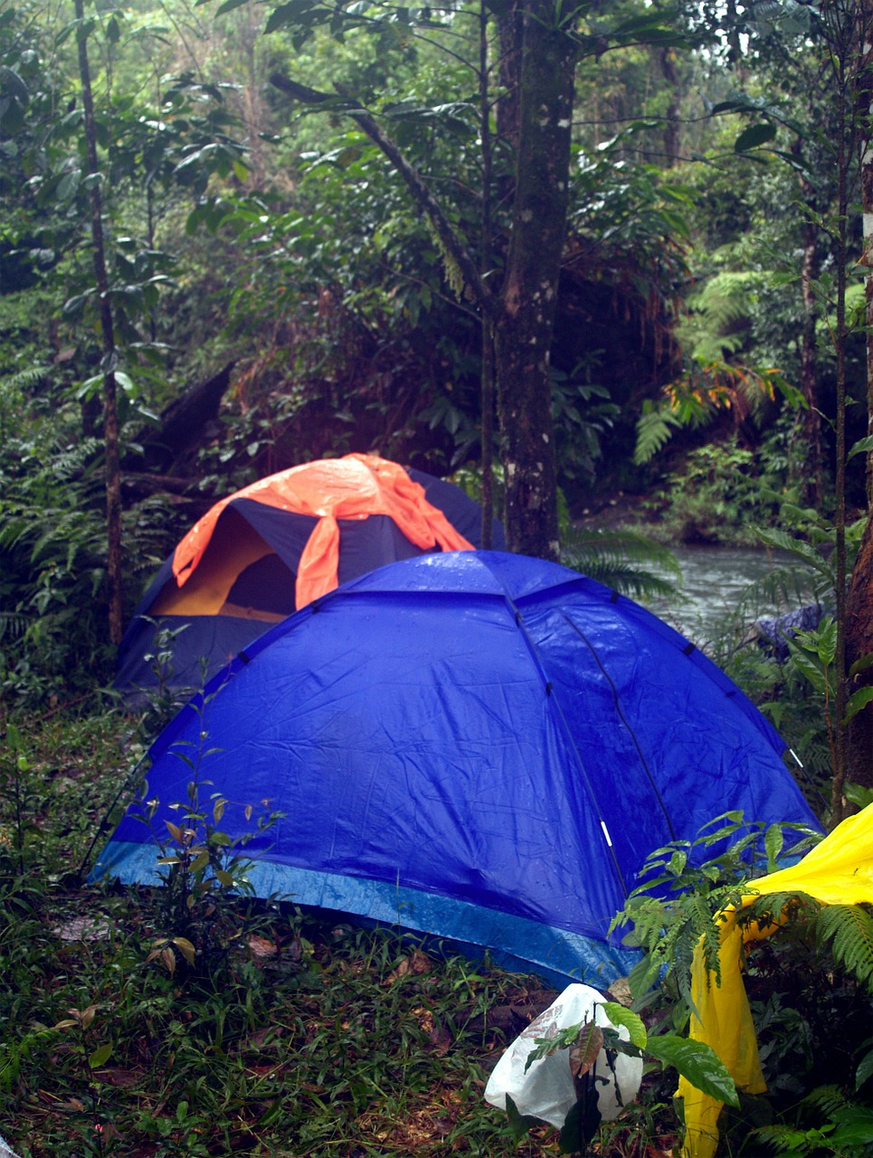 camping outdoors tent free photo