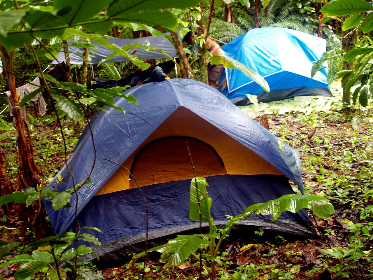 camping outdoors tent free photo