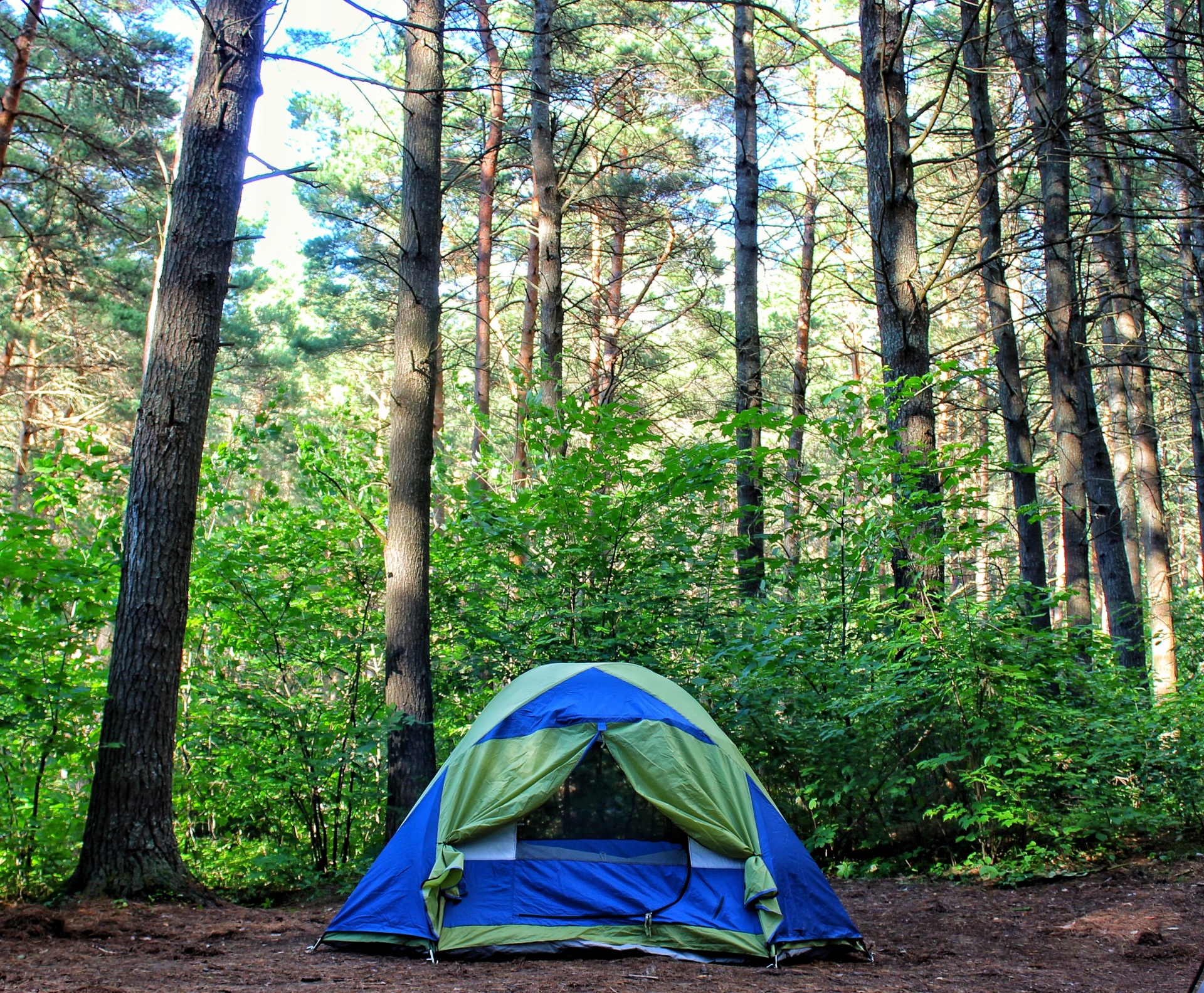 camp tent woods free photo