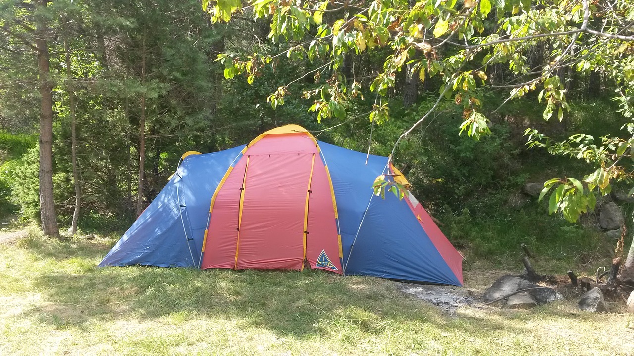 camping tent forest free photo