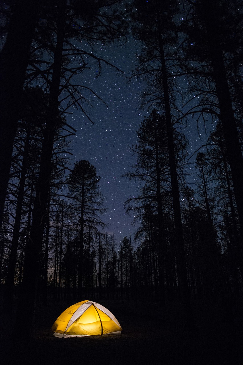 camping night tent free photo