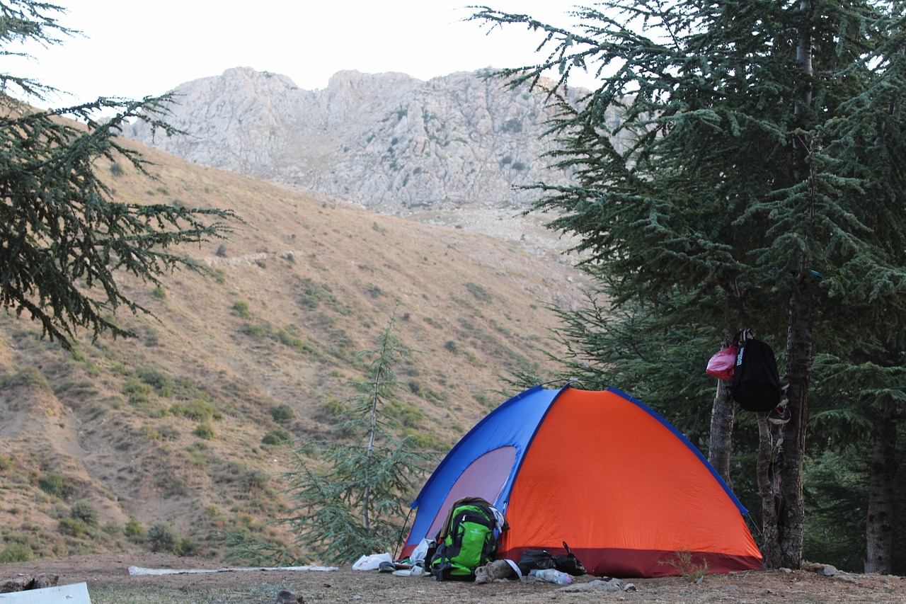camping forest algeria free photo