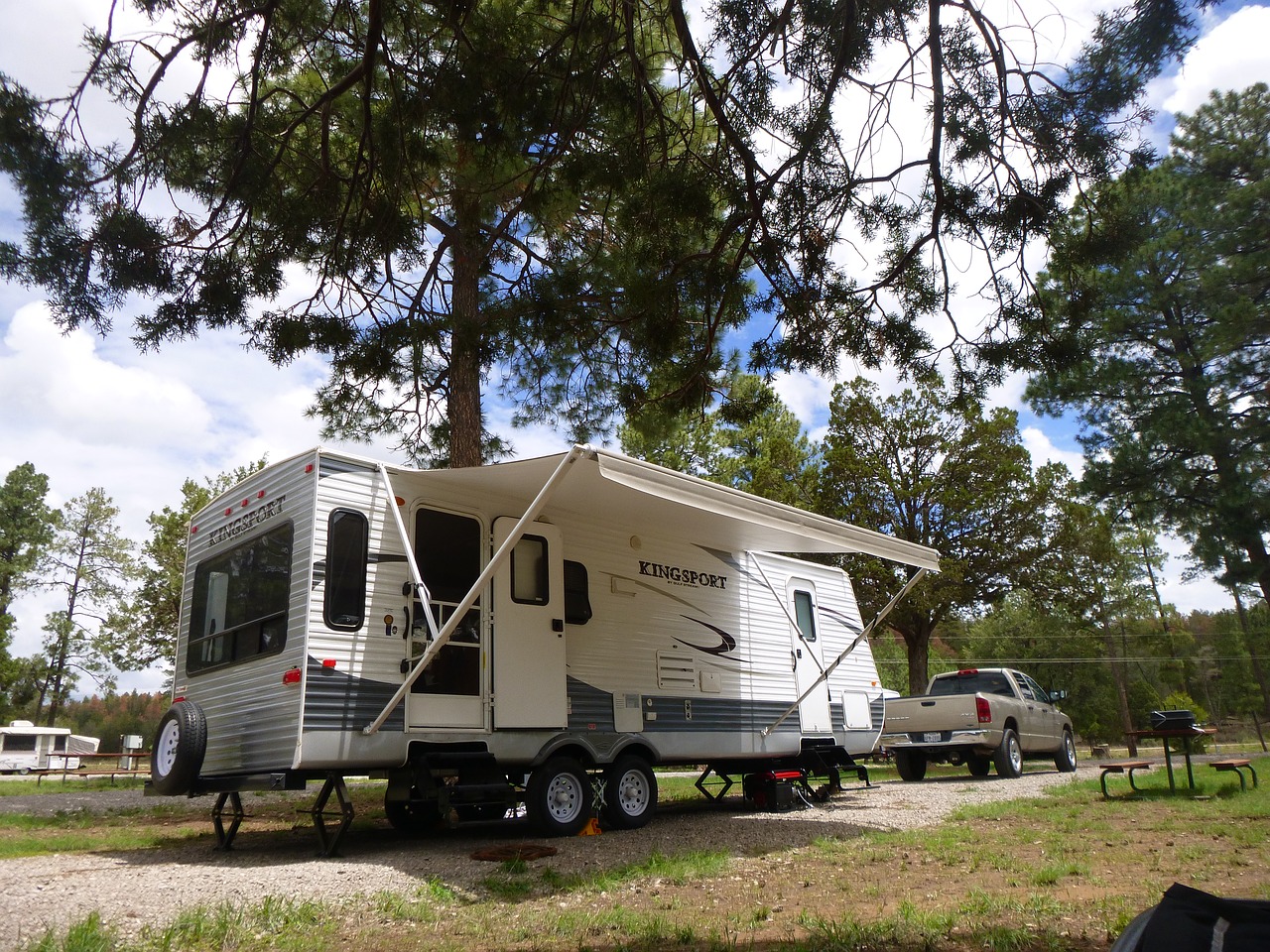 camping forest nature free photo