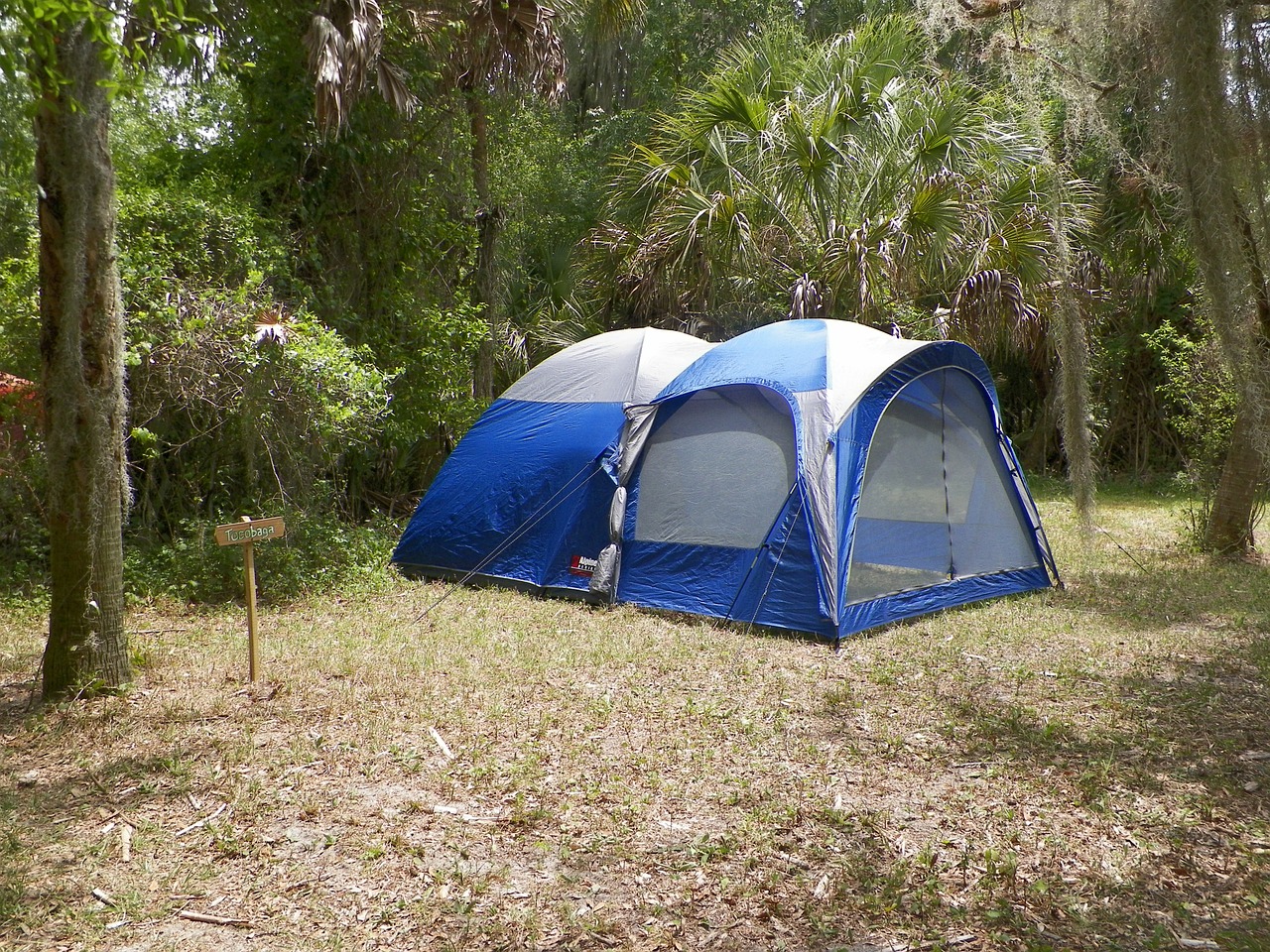 camping tent camp free photo