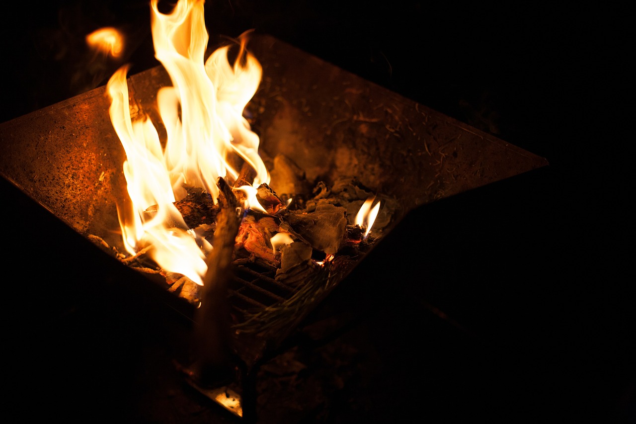 camping fire play brazier free photo