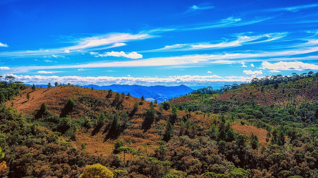 campos do jordao mantiqueira serra free photo