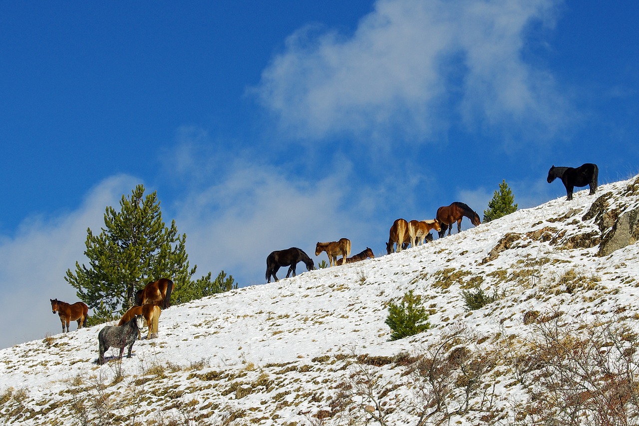 campotosto l'aquila abruzzo free photo