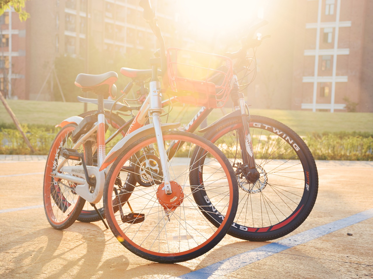 campus bike sunshine free photo