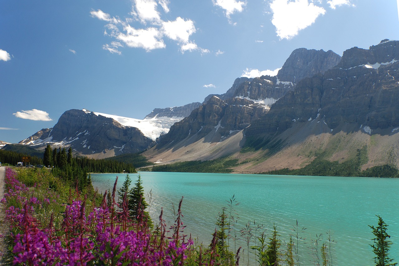 canada highway 1 peyto lake free photo