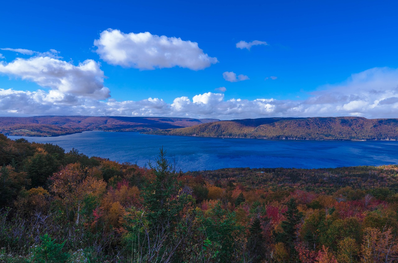 canada forest lake free photo