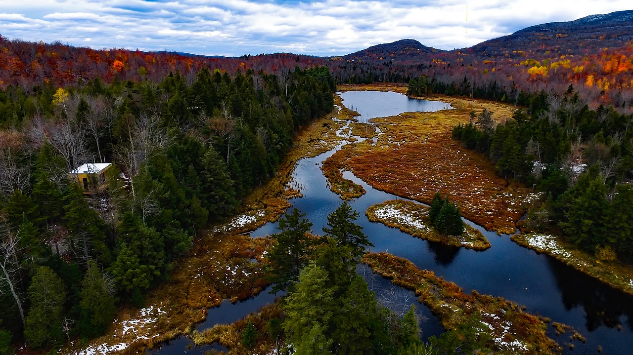 canada fall autumn free photo