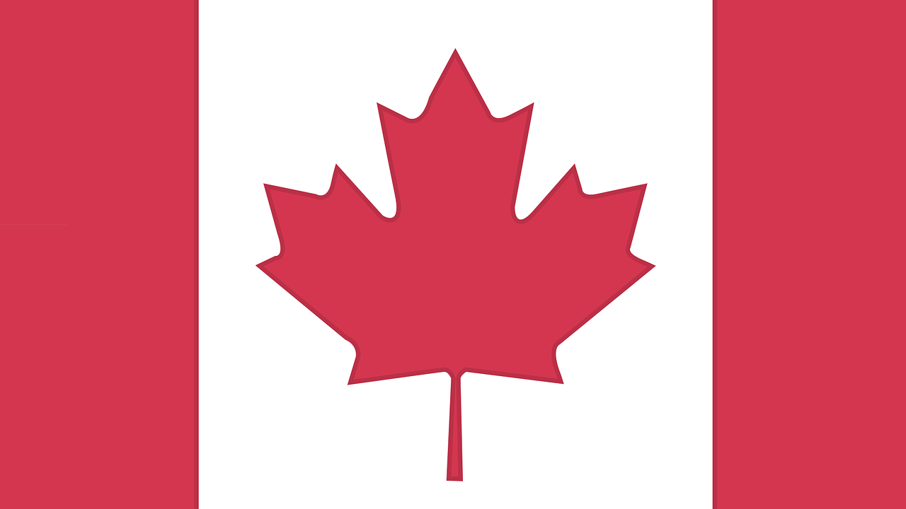 canada flag cartoon free photo