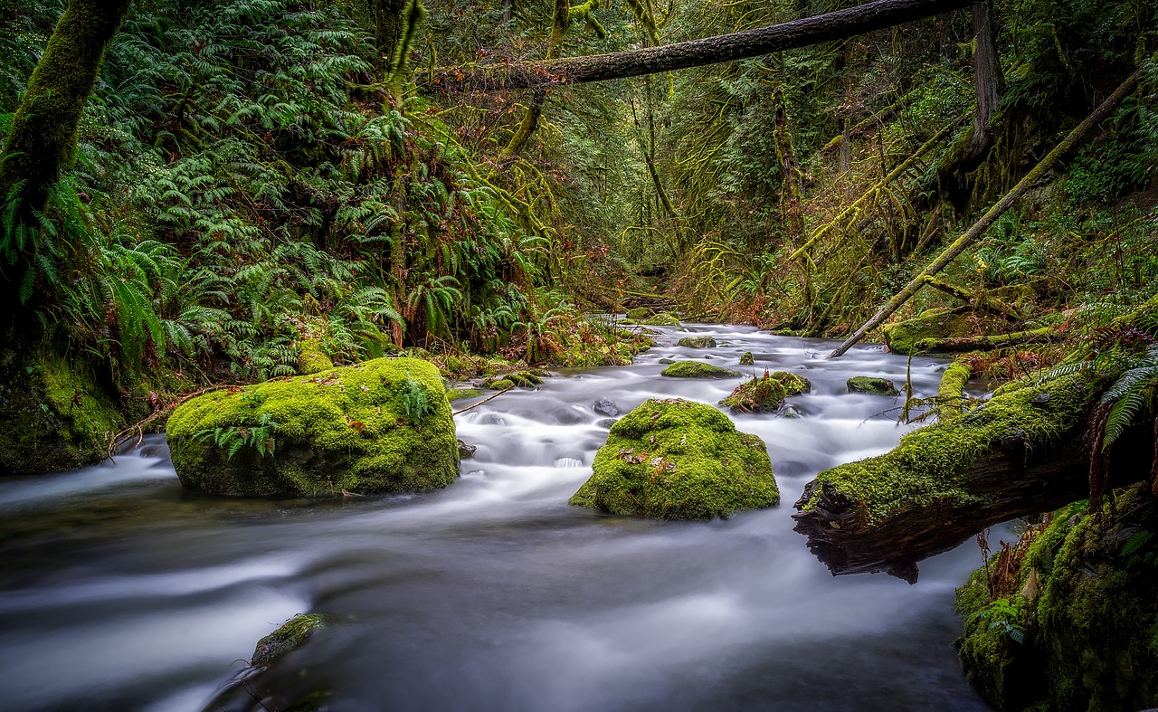 canada landscape scenic free photo