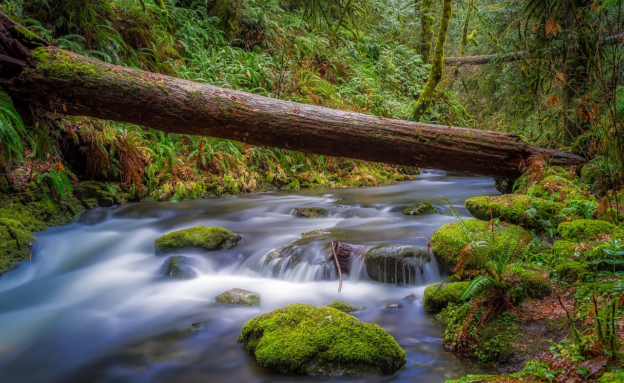 canada landscape scenic free photo