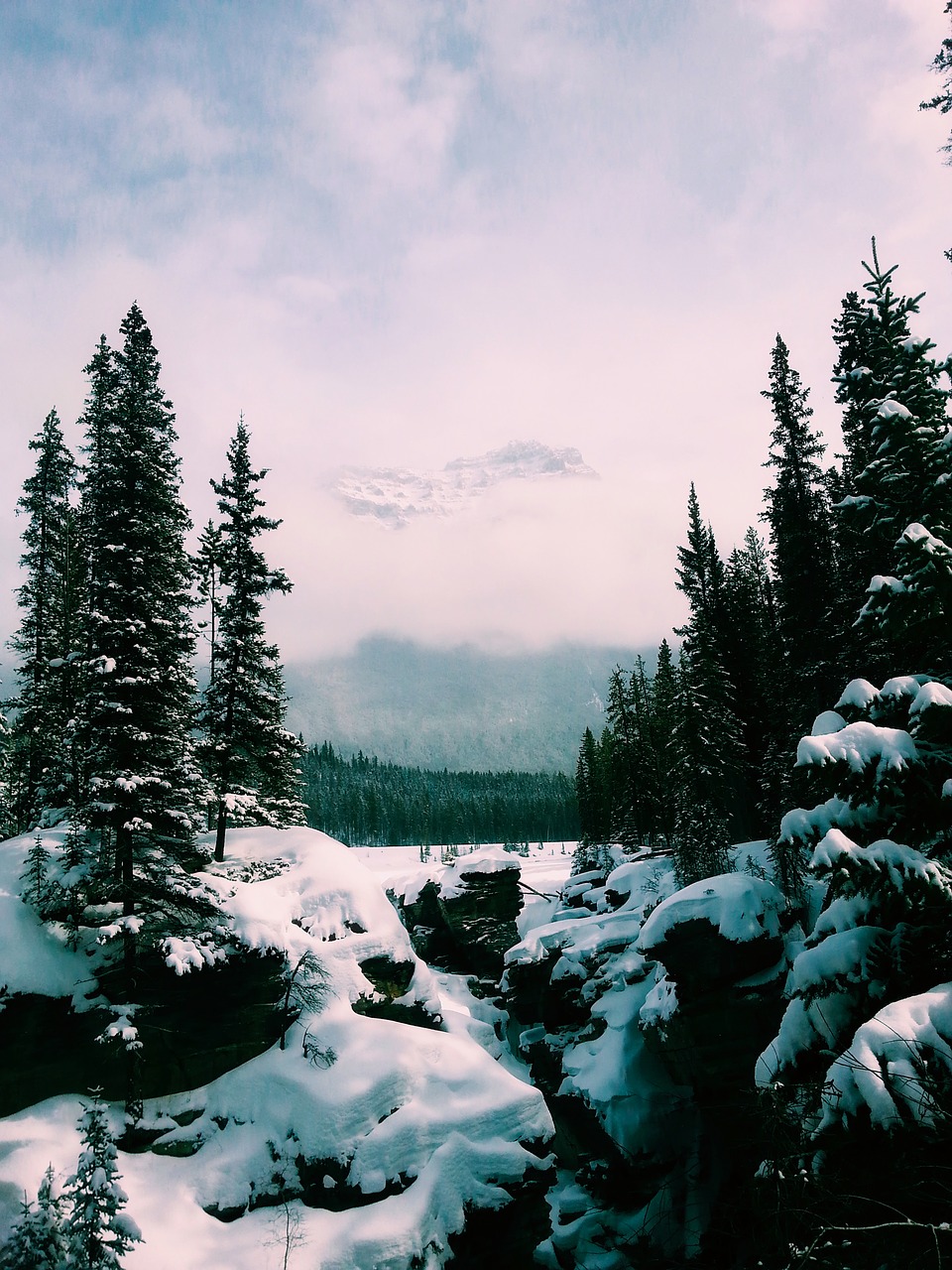 canada winter snow free photo